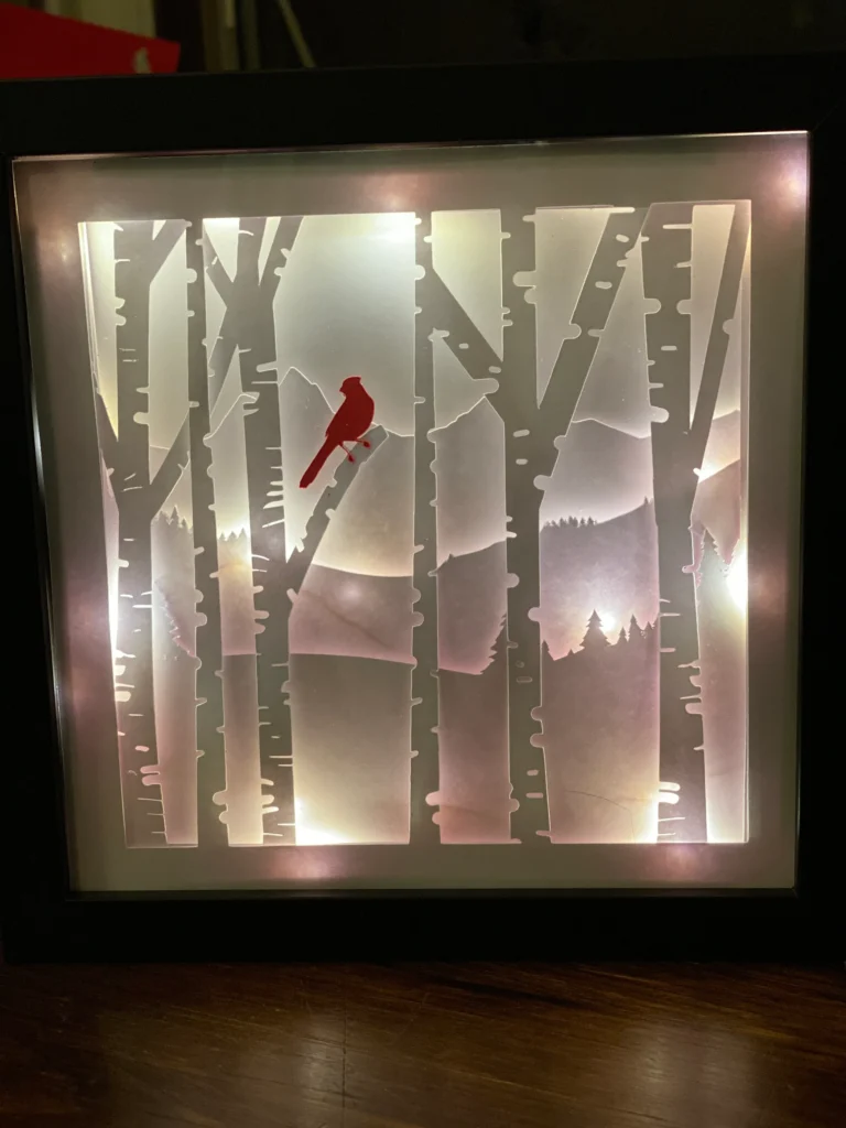 3D Cardinal Shadowbox SVG